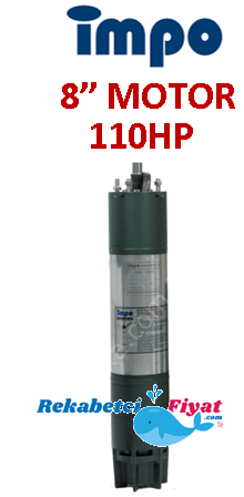 İMPO 110Hp - 81Kw 8'' Dalgıç Motor