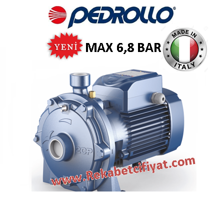 Pedrollo 2CPm 25 / 16A 3Hp 220V Çift Fanlı Santrifüj Pompa