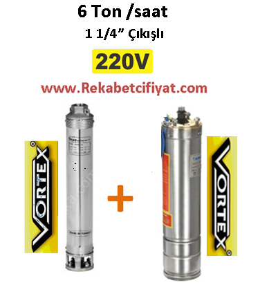 6 GM - 10 1HP 220V Vortex Pompa+ Vortex Motor Derin Kuyu Dalgıç Pompası