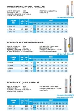 Atlantis  4SKM 200    2Hp-220V  4'' Çaplı    1'' Çıkışlı 12mt Kablolu + Panolu  Yüksek Basınçlı Dalgıç Pompa
