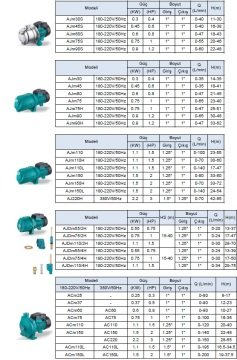 Leo  AJDm110/4H    1.5Hp 220V  Döküm Gövdeli Derinden Emişli Enjektörlü Kuyu Tipi Jet Pompa
