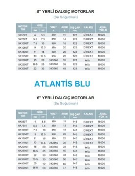 Atlantis  6K1750T      17.5Hp 380/660    6'' Dalgıç Motor (Yerli, Su Soğutmalı)