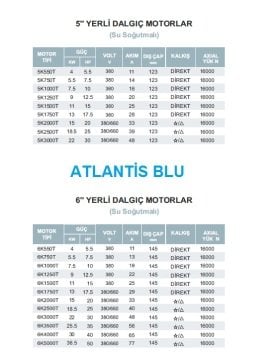Atlantis  6K2000T      20Hp 380/660    6'' Dalgıç Motor (Yerli, Su Soğutmalı)