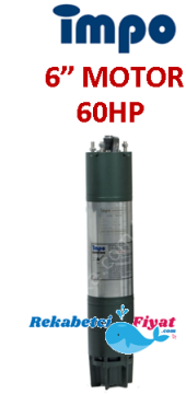 İMPO 60Hp - 45Kw 6'' Dalgıç Motor (V Tipi)