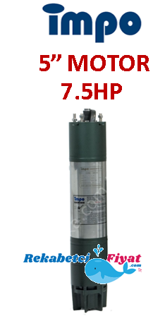 İMPO 7.5Hp - 5.5Kw 5'' Dalgıç Motor