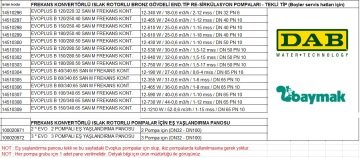 Dab EVOPLUS B 180/250.40 SAN M   Frekans Kontrollü Flanşlı  Endüstriyel Tip Bronz Gövdeli Islak Rotorlu Re-Sirkülasyon Pompası (Boyler servis hatları için)