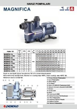 Pedrollo MAGNIFICA 2m     1Hp  220V   Ön Filtreli Havuz Pompası