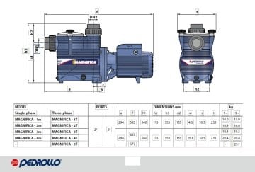 Pedrollo MAGNIFICA 2m     1Hp  220V   Ön Filtreli Havuz Pompası