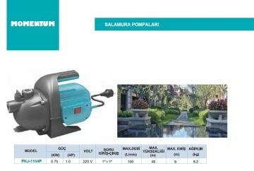Momentum PKJ-1104P    1Hp 220V  Salamura Pompası