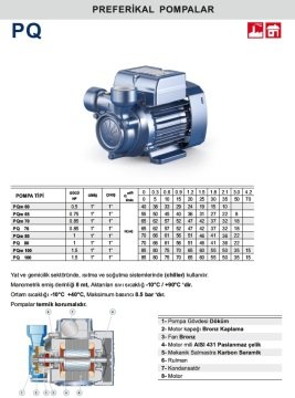 Pedrollo PQ 100   1.5Hp 380V  Preferikal Santrifüj Pompa