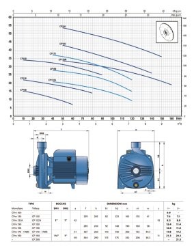 Pedrollo CP 200 (TRF)    3Hp 380V   Tek Fanlı Santrifüj Pompa