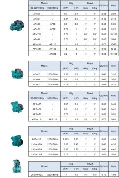Leo  AP60    0.8HP 380V   Preferikal Sürtme Fanlı Santrifüj Pompa