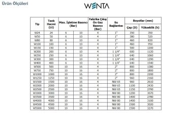 Wenta  WE-150  150 Litre  10 Bar  Dikey Ayaklı Tip Hidrofor ve Genleşme Tankı (Manometreli)
