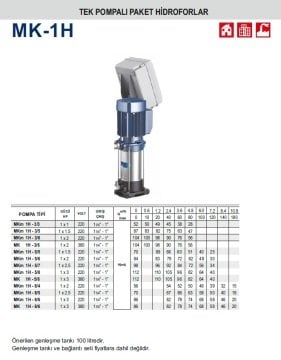 Pedrollo MKm 2H - 5/5    2x1.5Hp 220V  İki Pompalı Dikey Milli Paket Hidrofor
