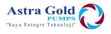 Astra Gold 65/90-280 F  DN 65 Frekans Kontrollü Sabit Mıknatıslı Flanşlı Tip Sirkülasyon Pompası