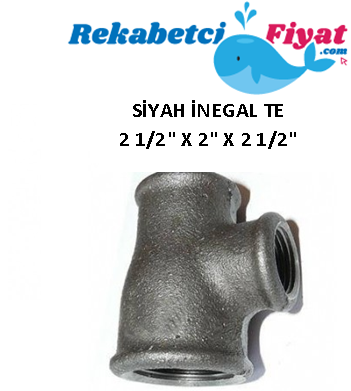 2 1/2'' X 2'' X 2 1/2'' Siyah İnegal Te