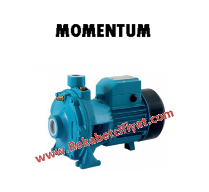 2PCm/140 220V 1,5HP Çift Kademeli Pompa