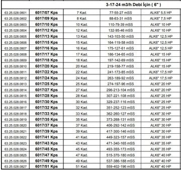 Alarko 6017/43 Kps  35Hp  6'' Paslanmaz Derin Kuyu Dalgıç Pompa (Motor+Pompa) ALK-KPS Serisi