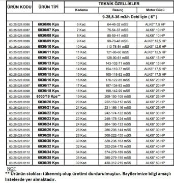 Alarko 6030/21 Kps  25Hp  6'' Paslanmaz Derin Kuyu Dalgıç Pompa (Motor+Pompa) ALK-KPS Serisi