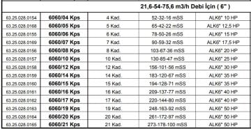 Alarko 6060/10 Kps  25Hp  6'' Paslanmaz Derin Kuyu Dalgıç Pompa (Motor+Pompa) ALK-KPS Serisi