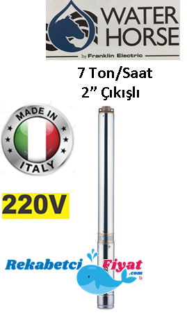 WATER HORSE 4WH 06-19 3HP 220V 2'' Çıkışlı Derin Kuyu Dalgıç Pompa (İtalyan Malı)