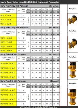 Vortex VKP 9-60 M     3Hp 220V  Süper Sessiz Çok Kademeli Yüksek Basınçlı Pompa