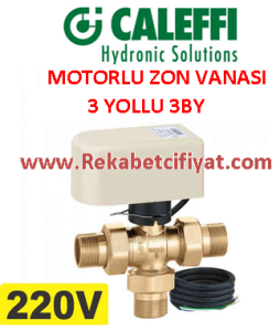 CALEFFI 3/4''' 220v ÜÇ Kontak Kontrollü Motorlu Küresel Zon Vanası