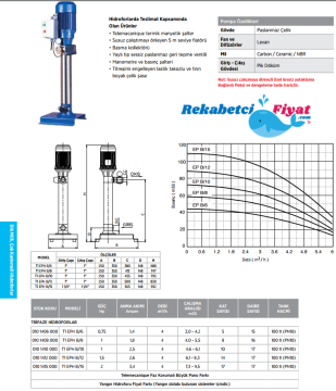 ETNA T1 EPH B-8 1HP 380V Tek Pompalı Çok Kademeli Dik Milli Hidrofor