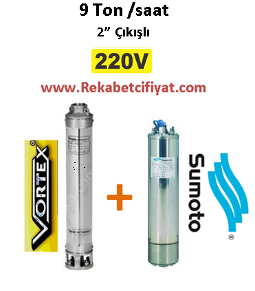 9 GM - 10 1,5HP 220V Vortex Pompa+Sumoto Motor Derin Kuyu Dalgıç Pompası