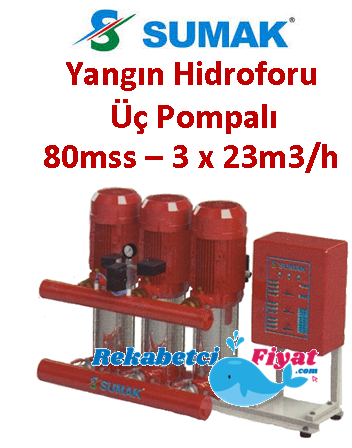 SUMAK SHT 34 C 1500/6 EEEY 15HP 380V Üç Pompalı Paket Yangın Hidrofor