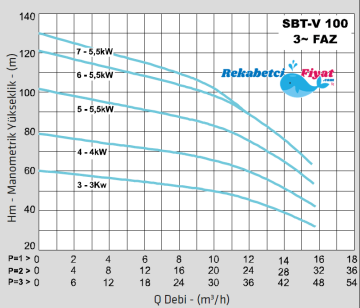STANDART TH1xSBT-V 100/4 5.5HP 380V Tek Pompalı Paket Hidrofor