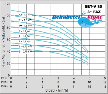 STANDART TH1xSBT-V 80/10 2HP 380V Tek Pompalı Paket Hidrofor