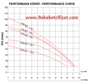EMPO EMD-90/6 M 220V 3HP Noril Fanlı Dik Milli Pompa