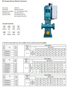 Domak KPDR50A-3    1X15Hp 380V  Tek Pompalı Panolu Hidrofor
