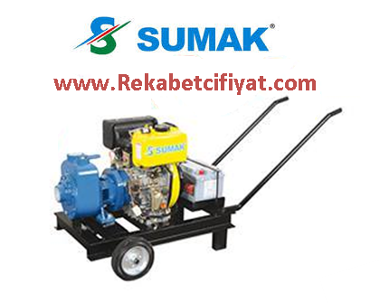 DSM 300/2 D 4HP 2\'\' Çıkışlı Marşlı Dizel Motopomp Su Motoru