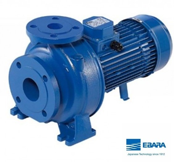 Ebara 3D 65-160/11   15Hp 380V  Yatay Milli Döküm Santrifüj Pompa